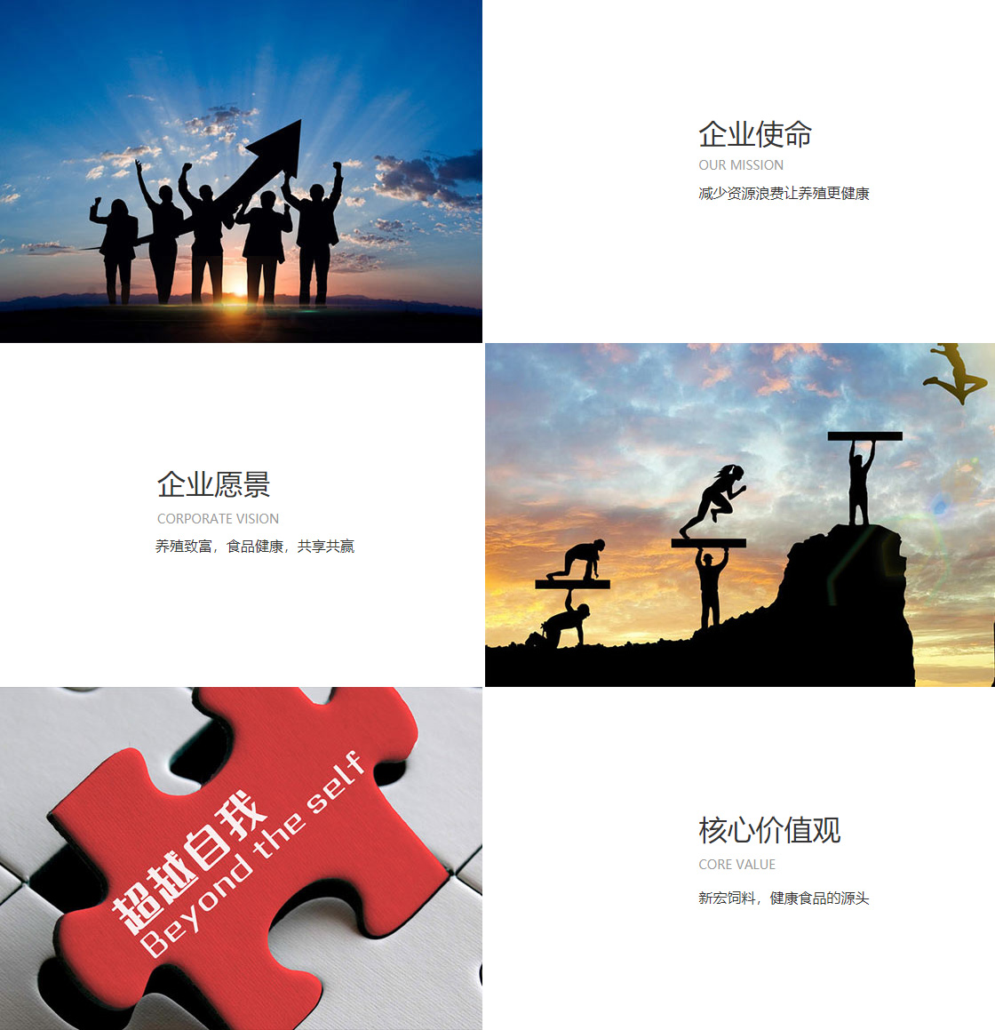 星空体育平台官网入口(图1)